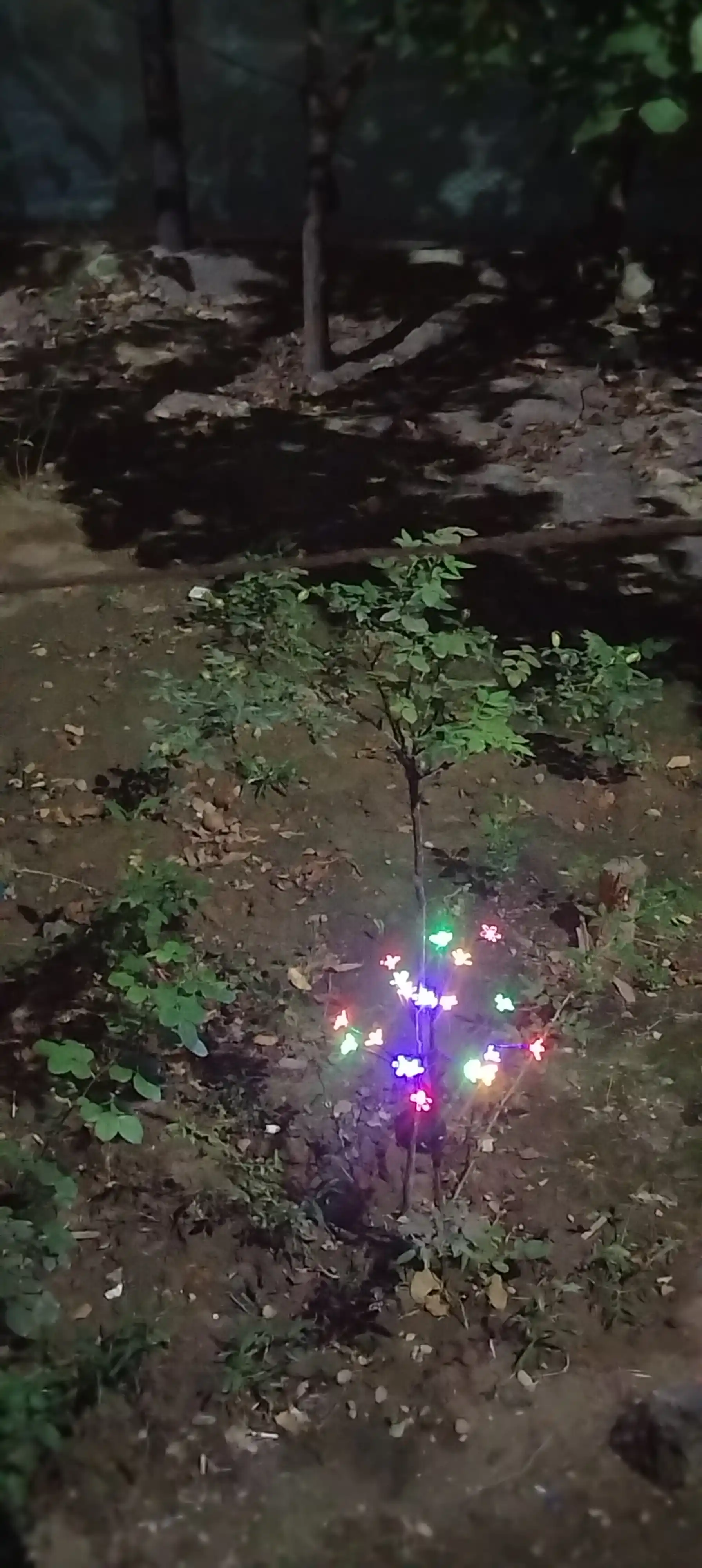 20 ta LED quyosh energiyasida ishlaydigan dekorativ tashqi bog 'chiroqi
