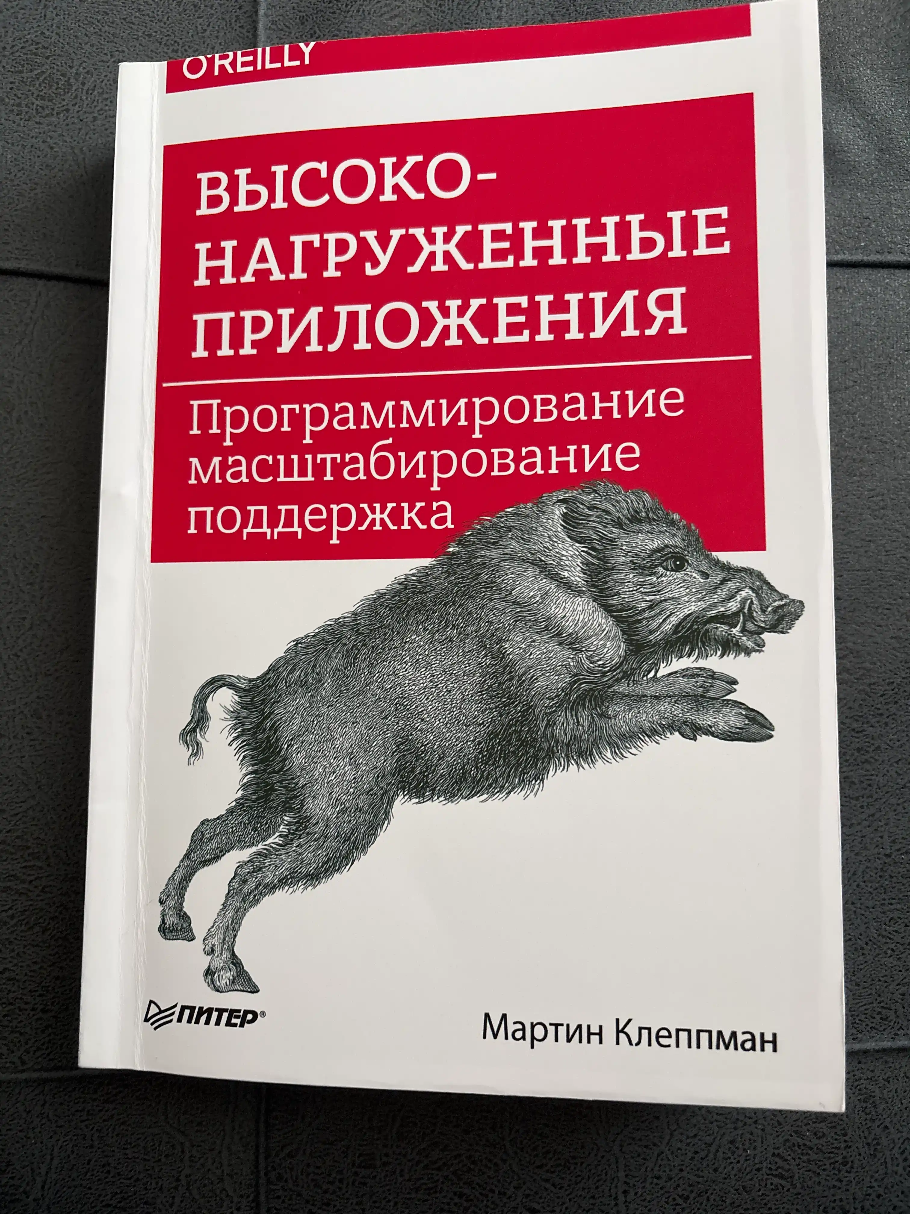 Visokonagrujennie prilojeniya. Kleppman Martin