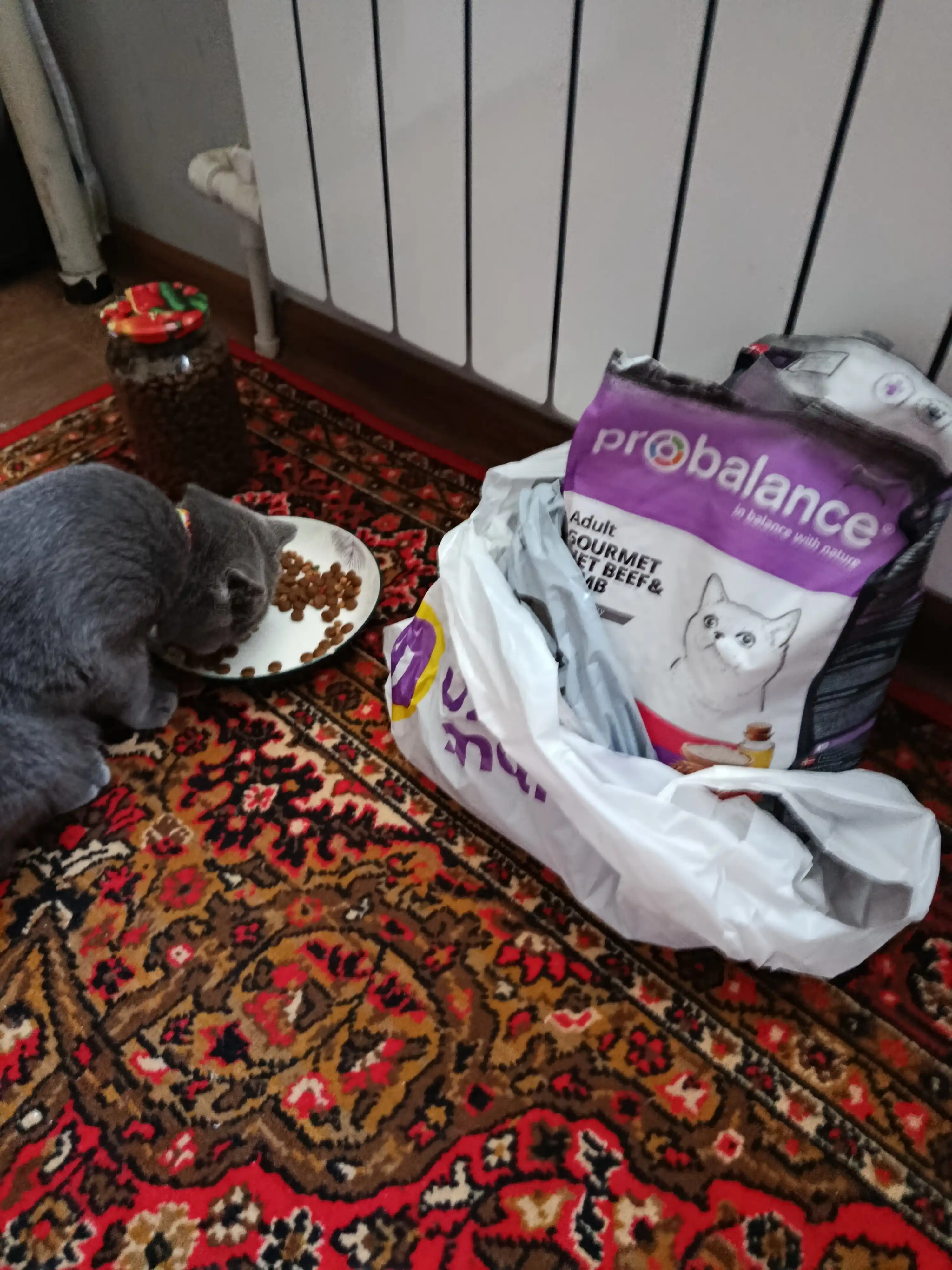 ProBalance Gourmet mushuklar uchun quruq yem mol va qo'zichoq go'shti, 1.8 kg