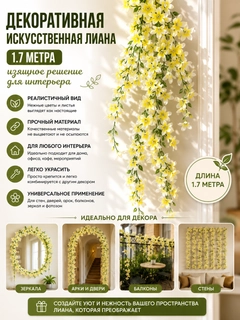 Limon rang