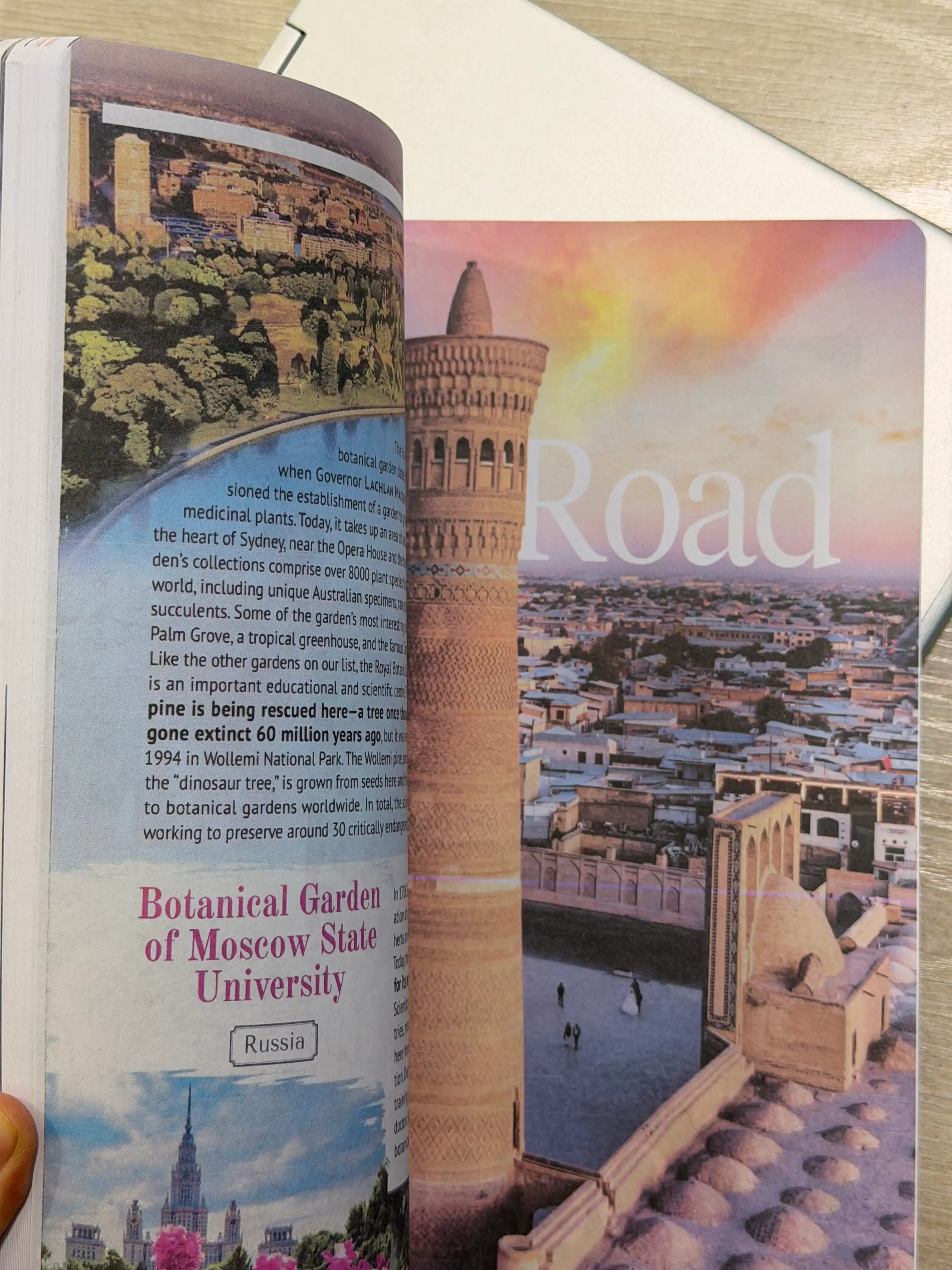 365 Magazine - Summer - ARTICLE BOOK