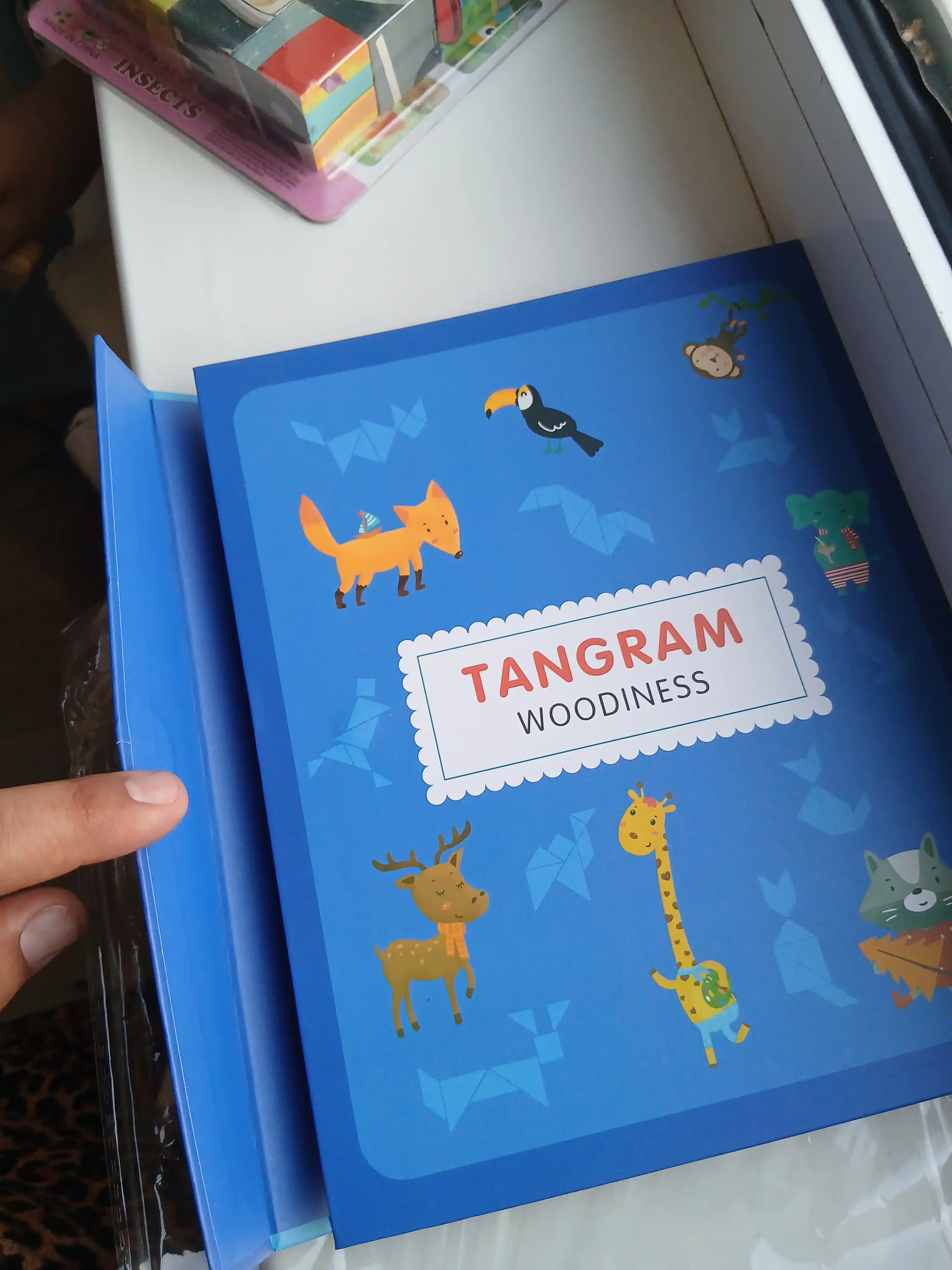 Ta'limiy yog'och jumboq o'yini Tangram, magnitli, tangram vazifalar bilan, tetris