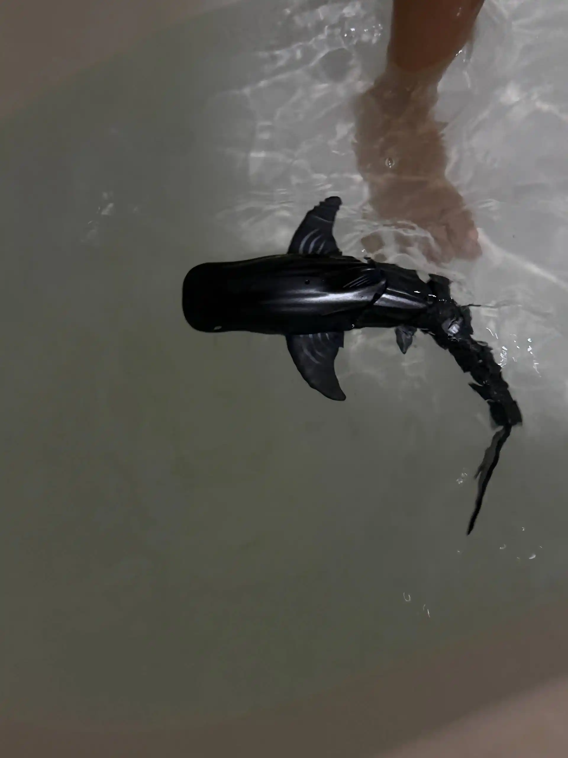 Radio orqali boshqariladigan suzuvchi o‘yinchoq Akula, delfin