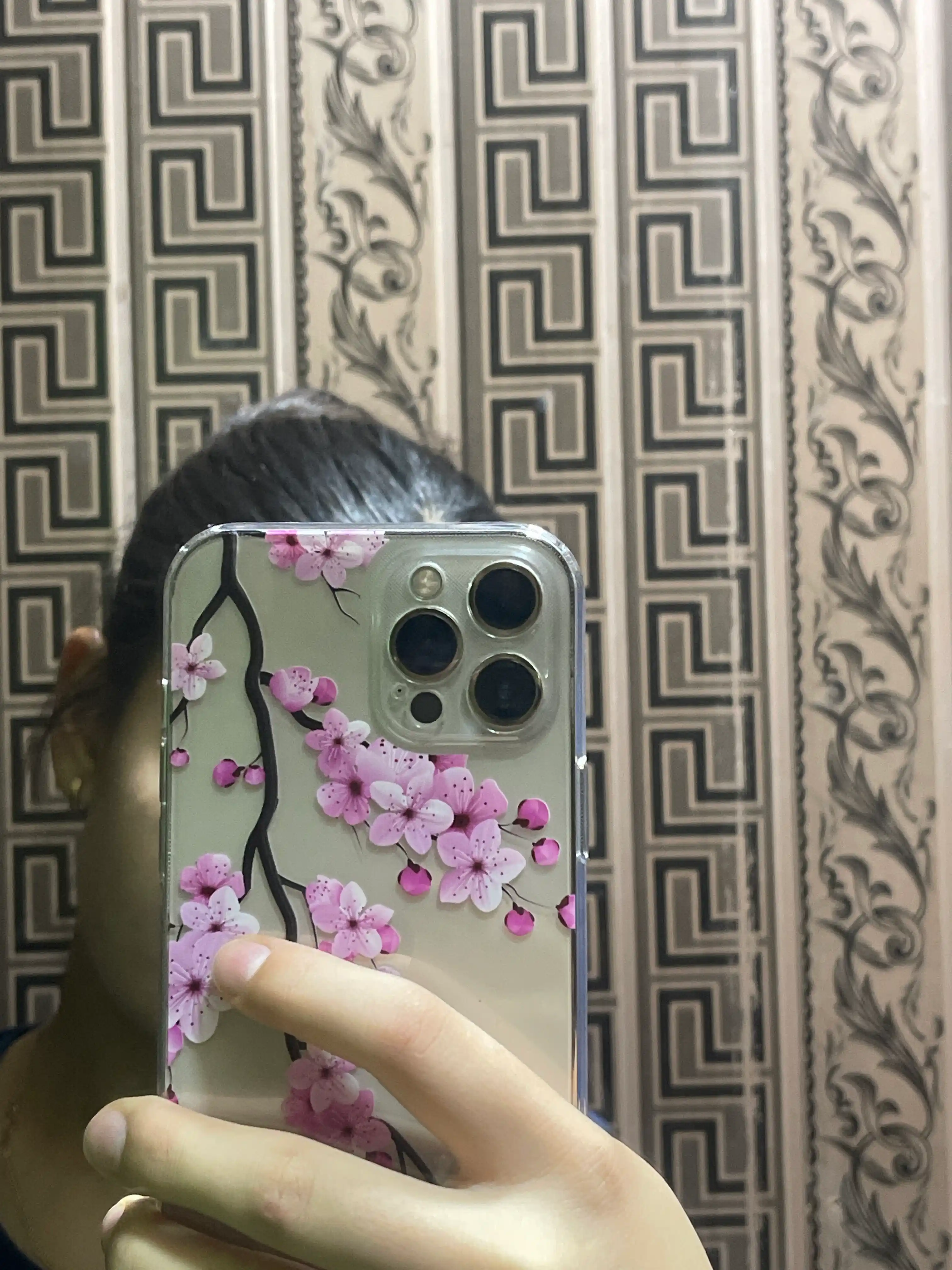 IPhone XR, X, XS, XS Max, 11, 12, 13, 14, 15, 16, Pro Max uchun g'ilof