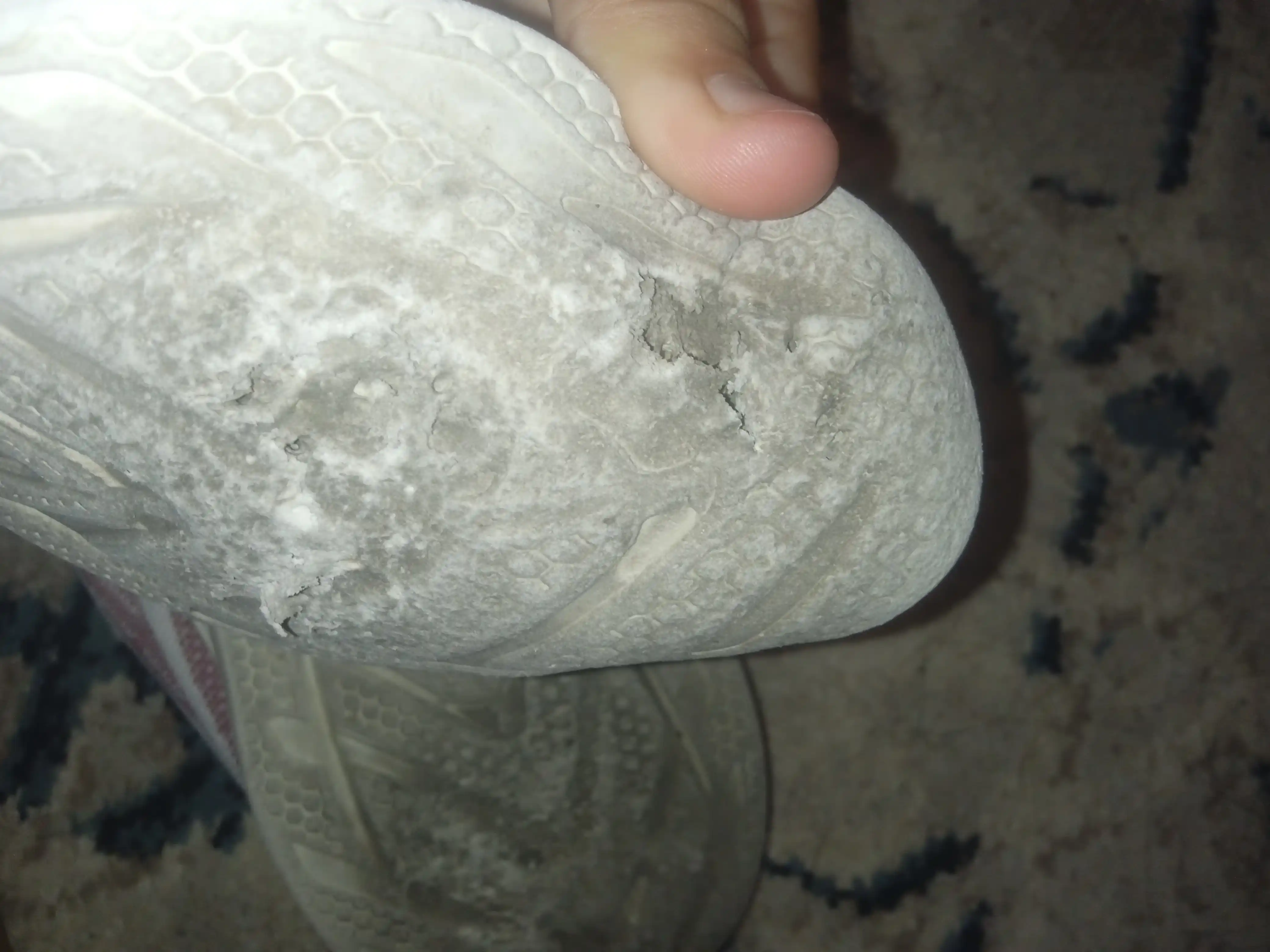 Shoozz ayollar uchun  to'rli engil krossovkalar