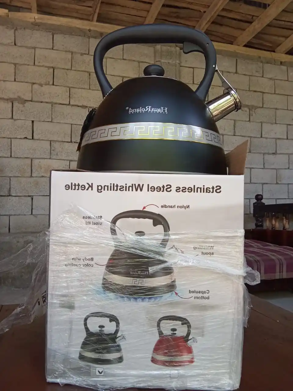 Haus Roland 3.0L choynak — zanglamaydigan po‘lat, hushtakli