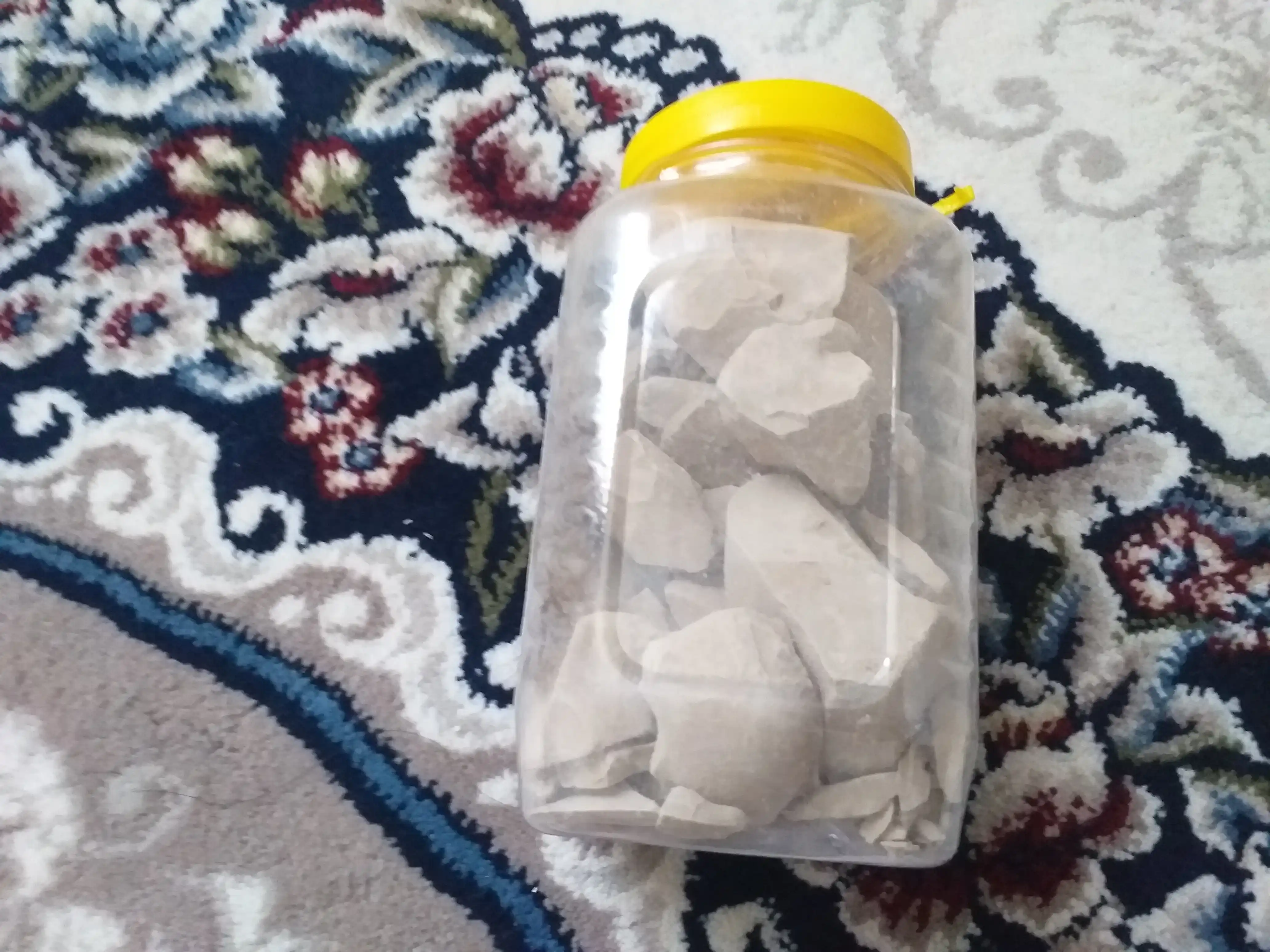 Dengiz gili, kesak, loy, gulvata, gilvata, dengiz kesagi, tabiiy kesak