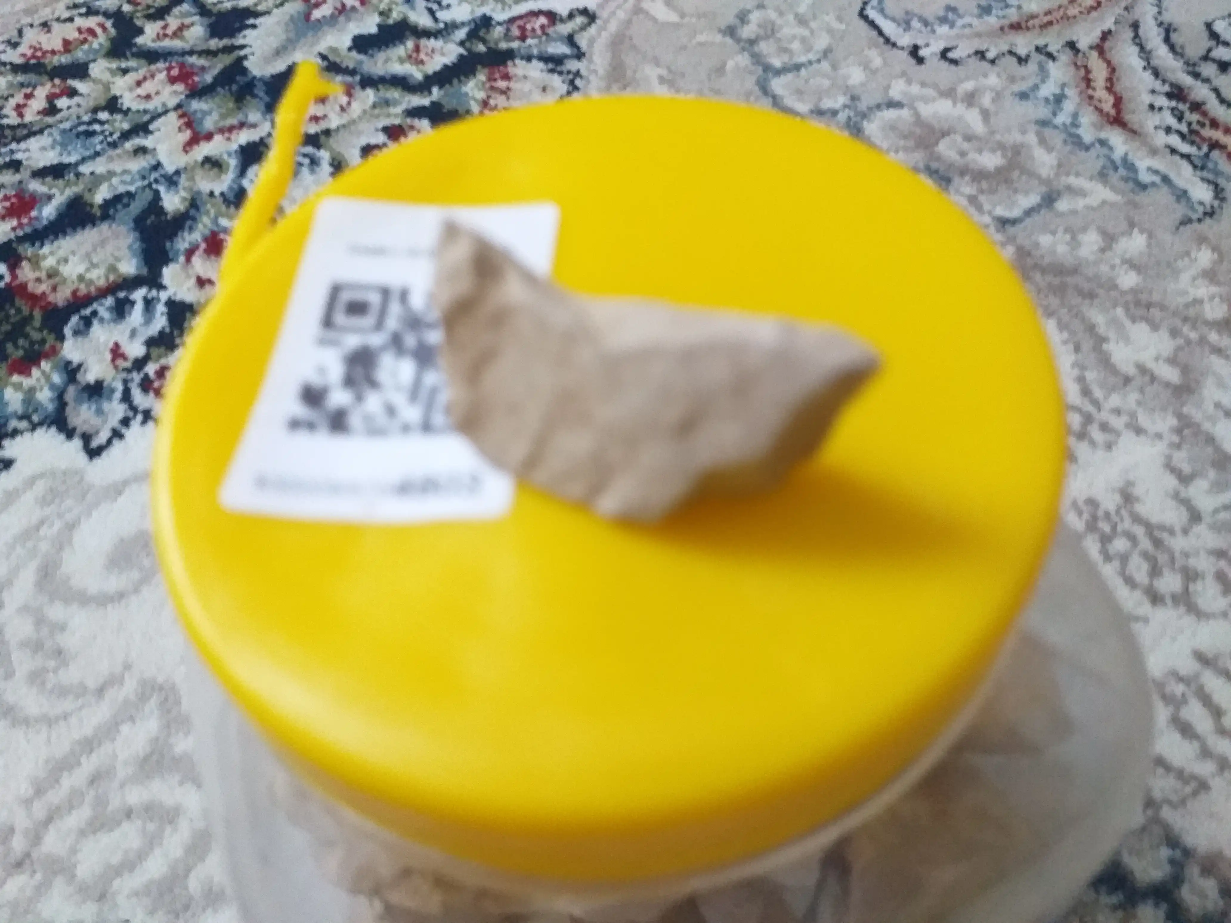 Dengiz gili, kesak, loy, gulvata, gilvata, dengiz kesagi, tabiiy kesak