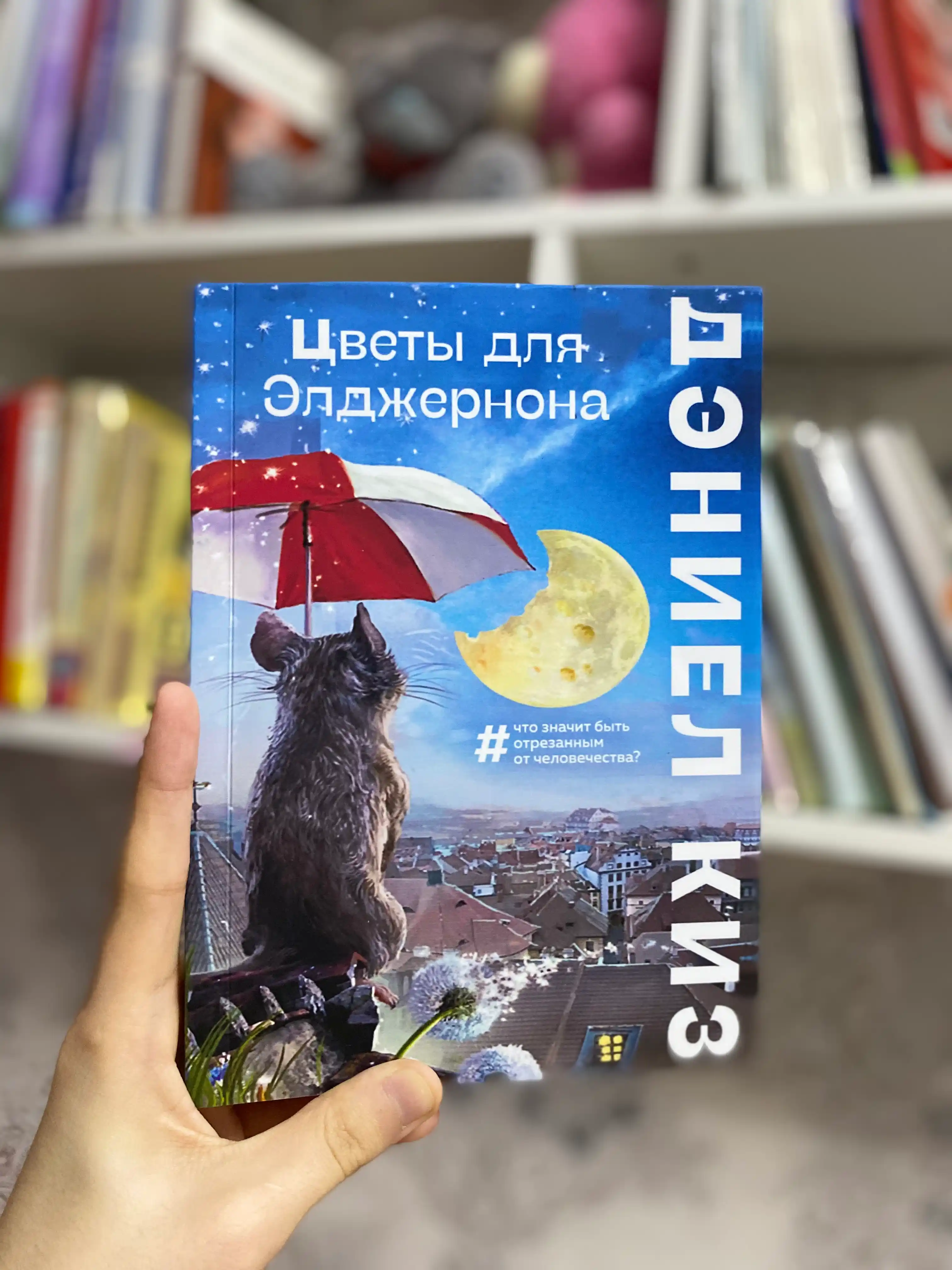 Цветы для Элджернона, Дэниел Киз