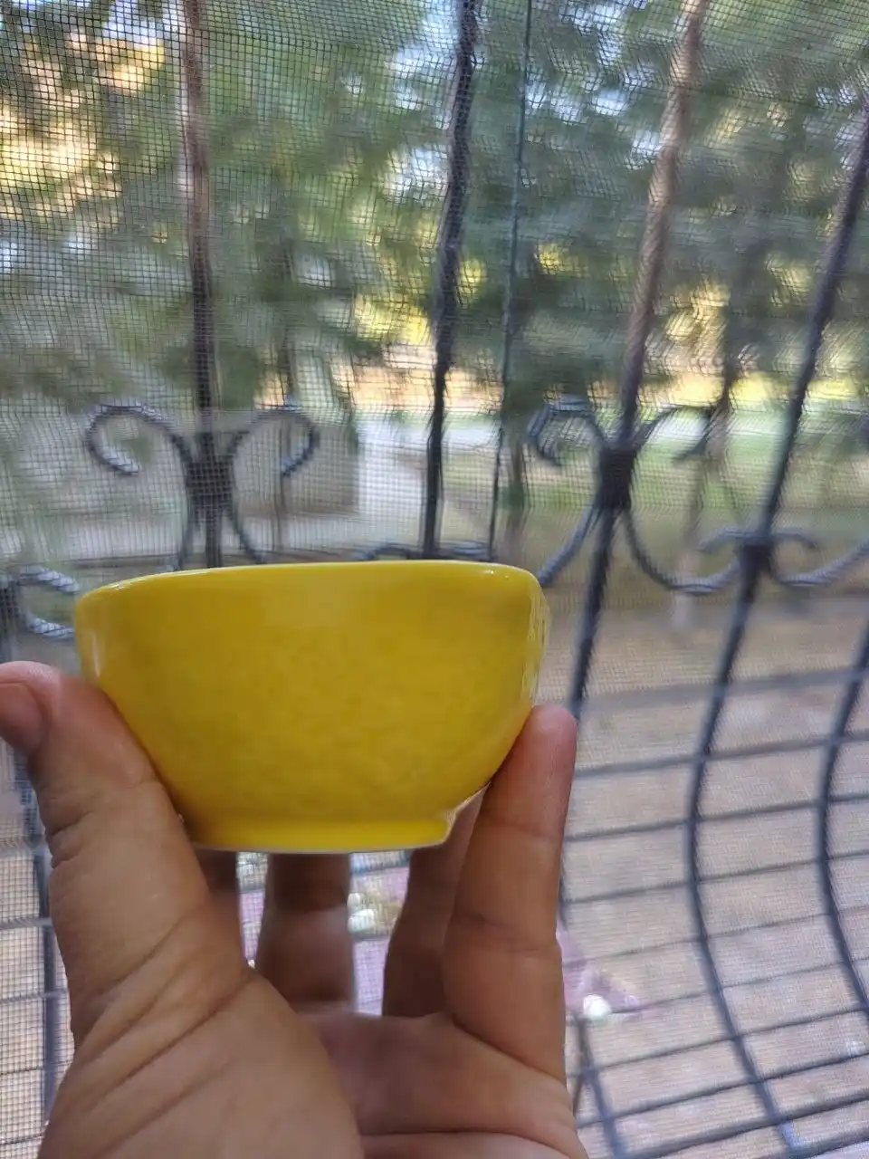 Seramika sosli qayiqlar "Limon", 2 dona