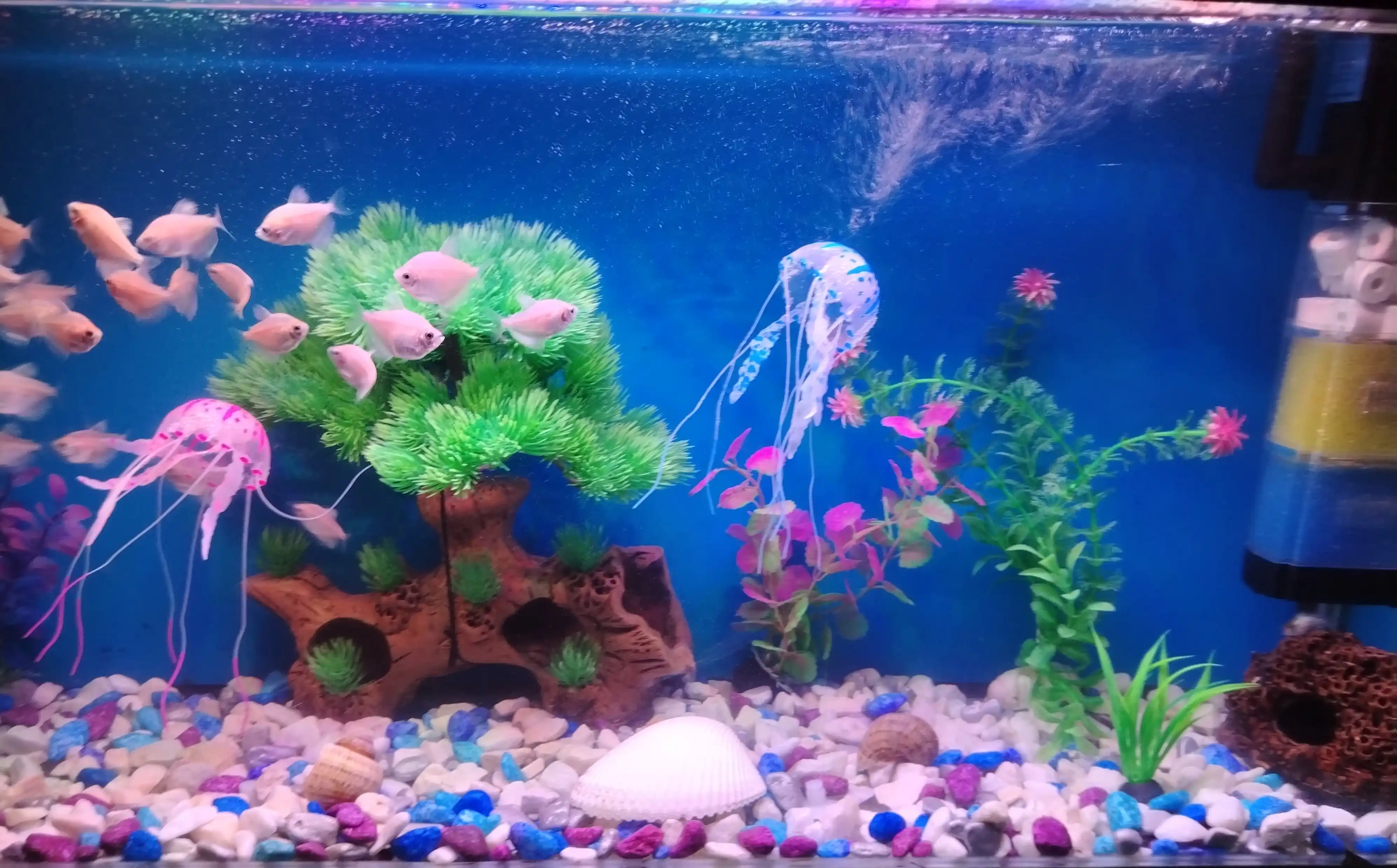 Akvarium, kashpo, gullar va interyer uchun dekorativ rangli toshlar, tabiiy shag‘al
