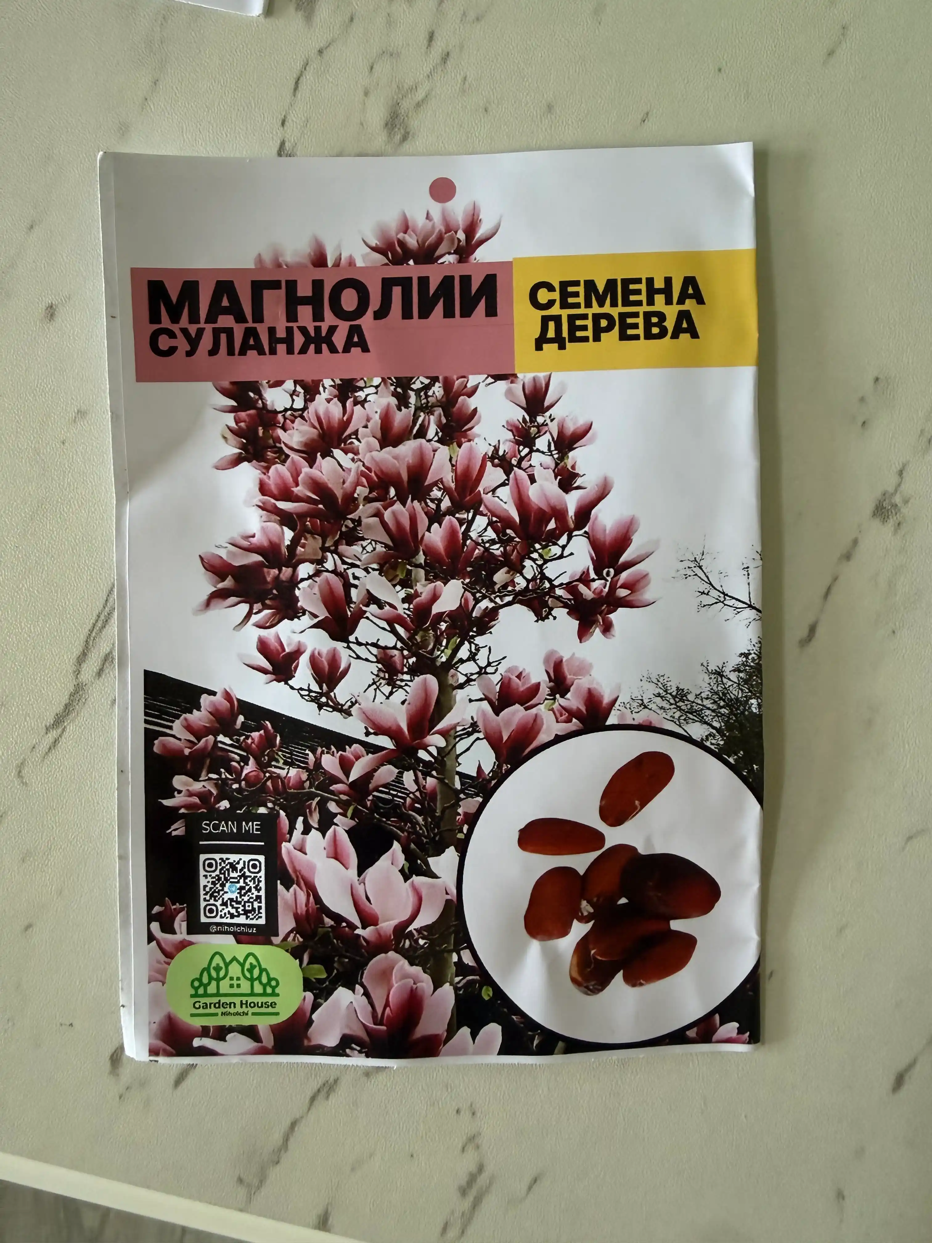 Семена магнолии