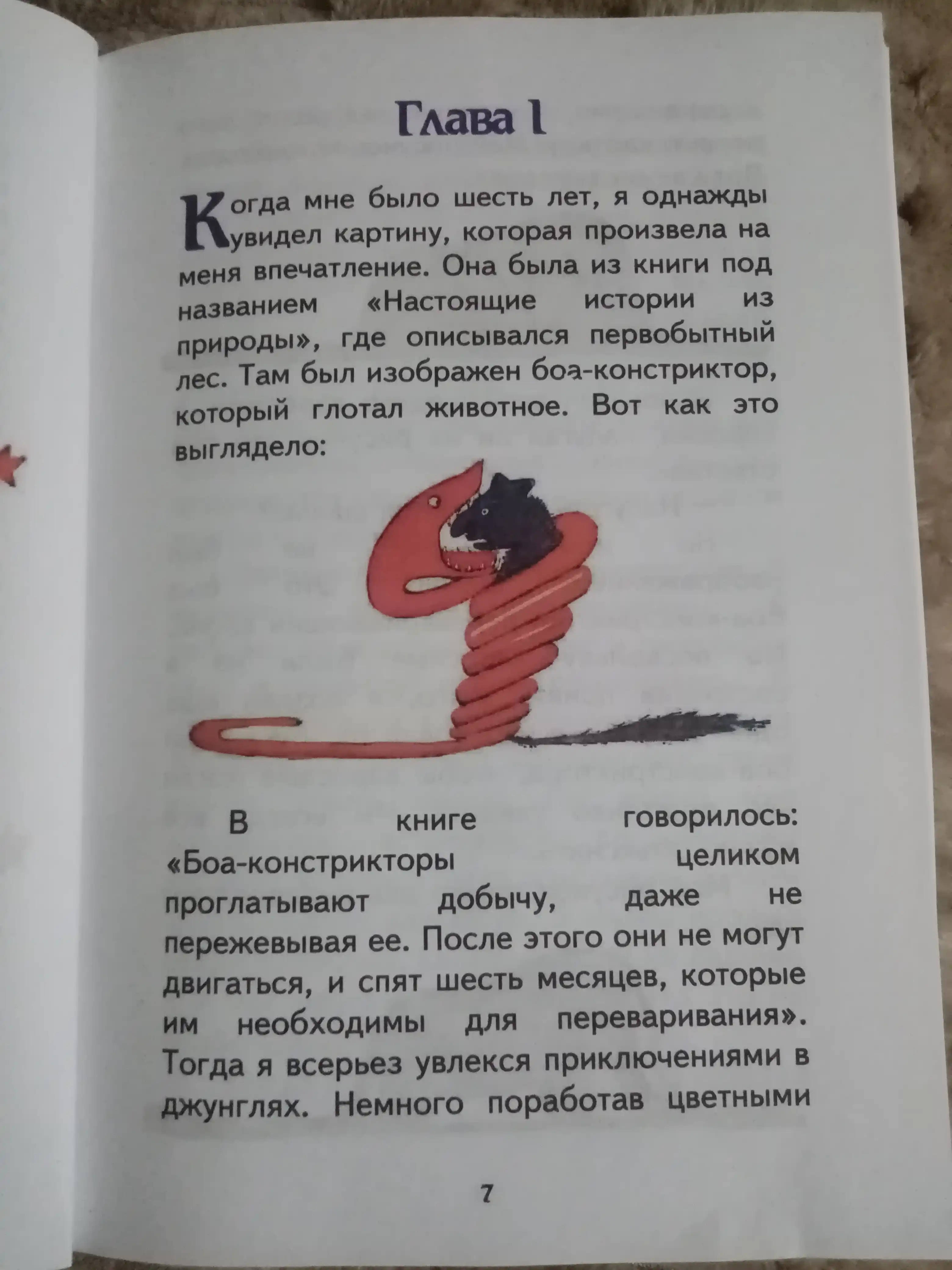 Kitob, Malenkiy Prins, Antuan De Sent- Ekzyuperi
