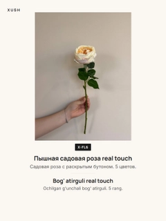 Sargʻish melanj