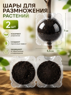 Бирюзовый