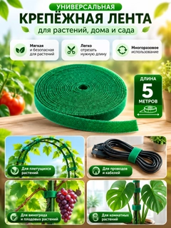 Бордовый