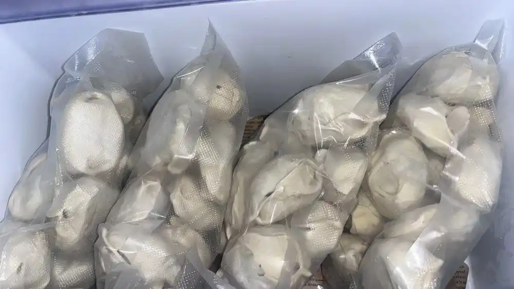 Vakum apparat + vakumli paket, vakuumli qadoqlash mashinasi, vakumator mahsulotlar uchun