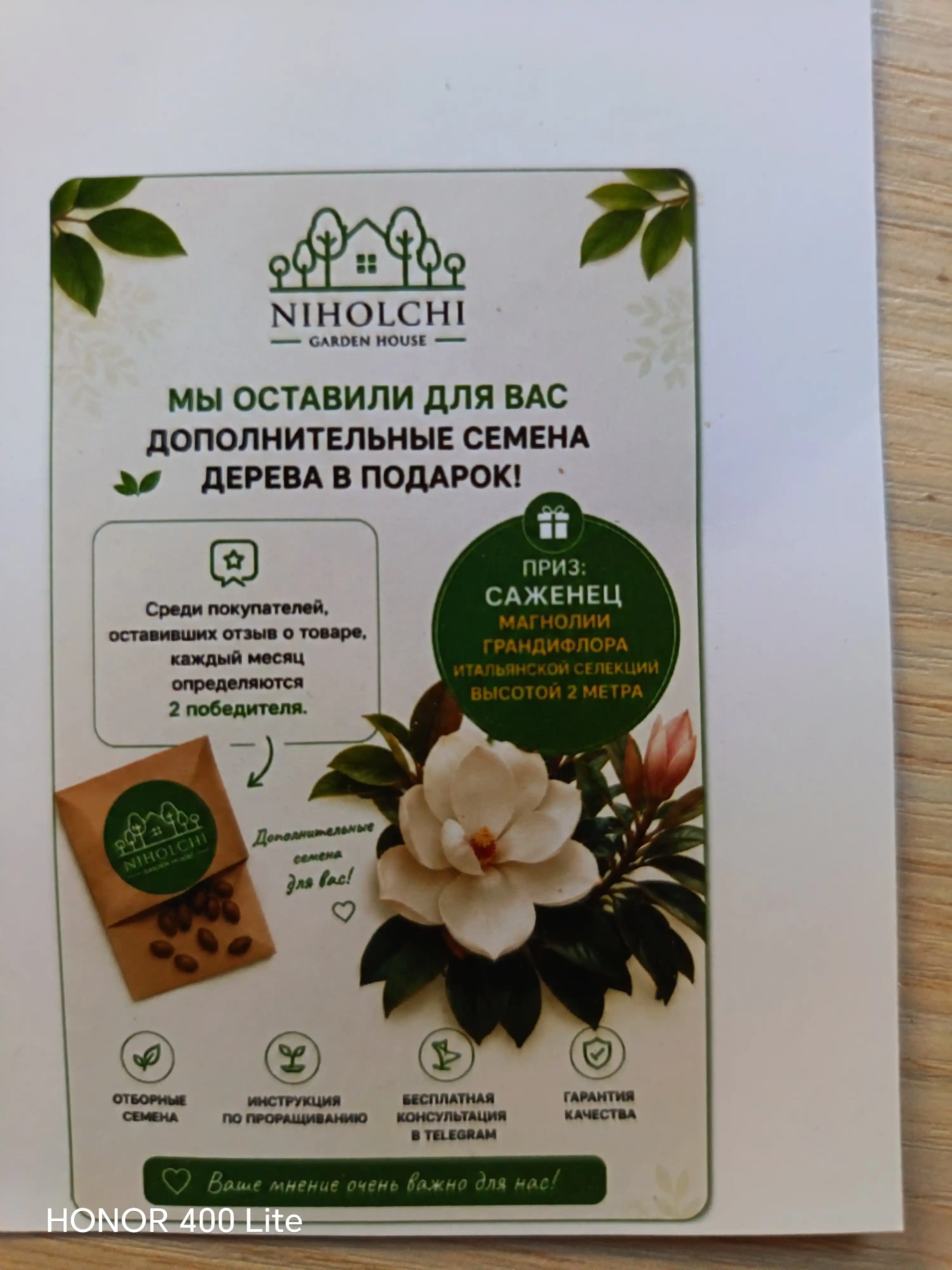 Arab mitti qahvasi Kafa, Urug‘lar, 20 dona, ekzotik o‘simliklar urug‘lari