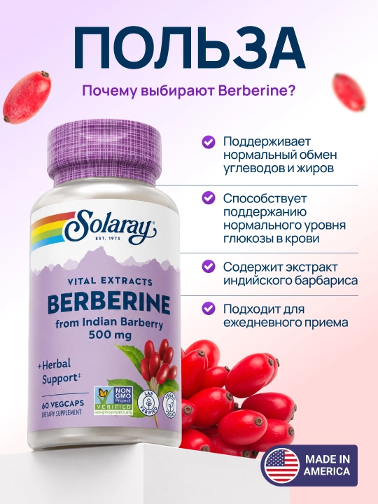 Solaray Berberin 500 mg, 60 kapsula — metabolizm va jigar uchun