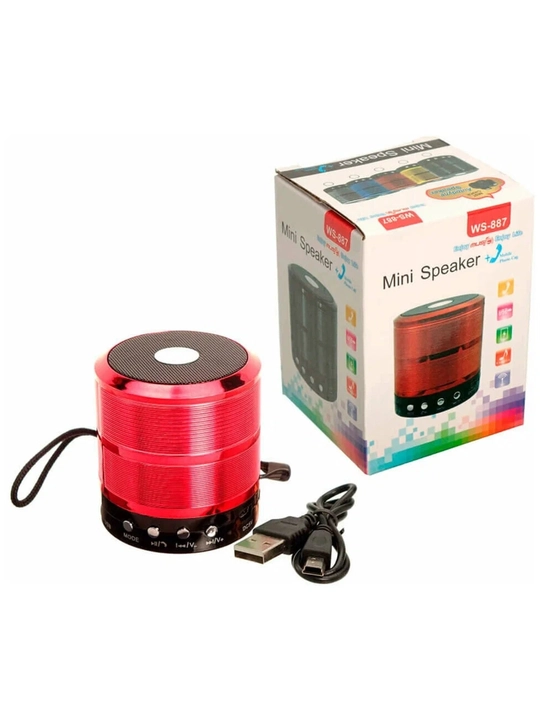 FM, USB, TF, AUX simsiz karnayli WS-887 portativ Bluetooth karnay