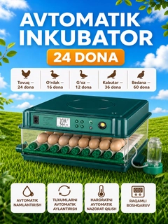 Белый