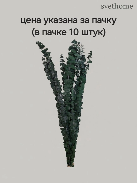 Натуральные сухоцветы ( ларгус, пшеница, трава, эвкалипт, пампас)