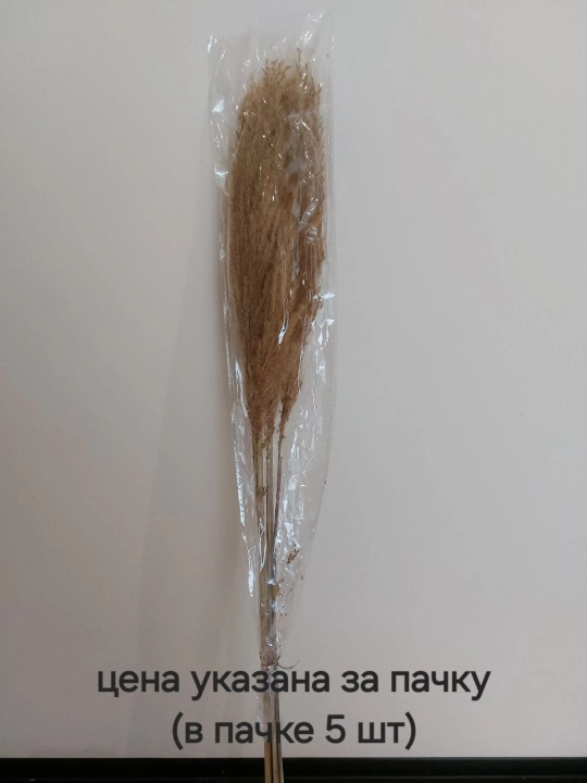 Натуральные сухоцветы ( ларгус, пшеница, трава, эвкалипт, пампас)