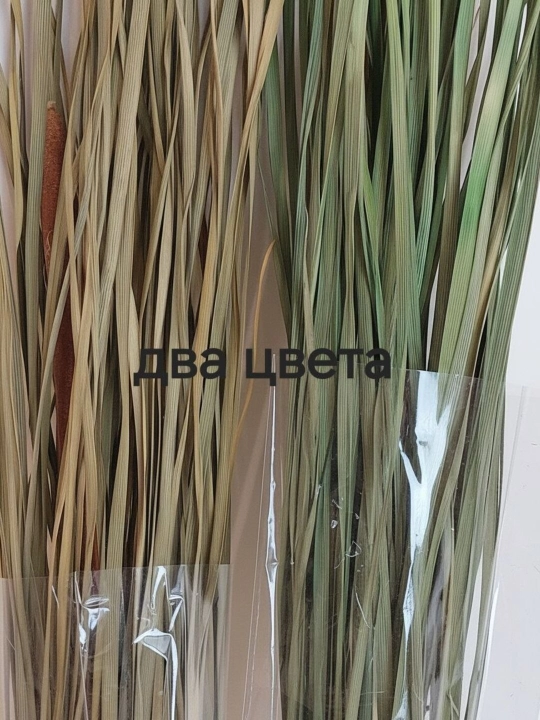 Натуральные сухоцветы ( ларгус, пшеница, трава, эвкалипт, пампас)