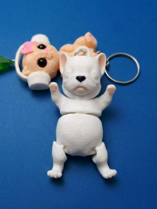 Sims The Sims o‘yinidagi Mushukcha mem va "Pibl-Pibble" syorfer iti breloklari to‘plami