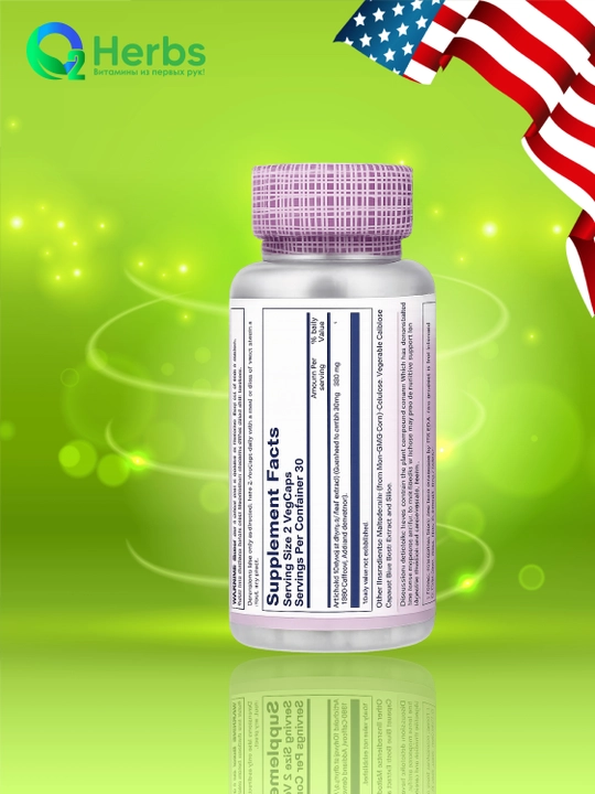 Artishok, Solaray, 600 mg, 60 kapsula