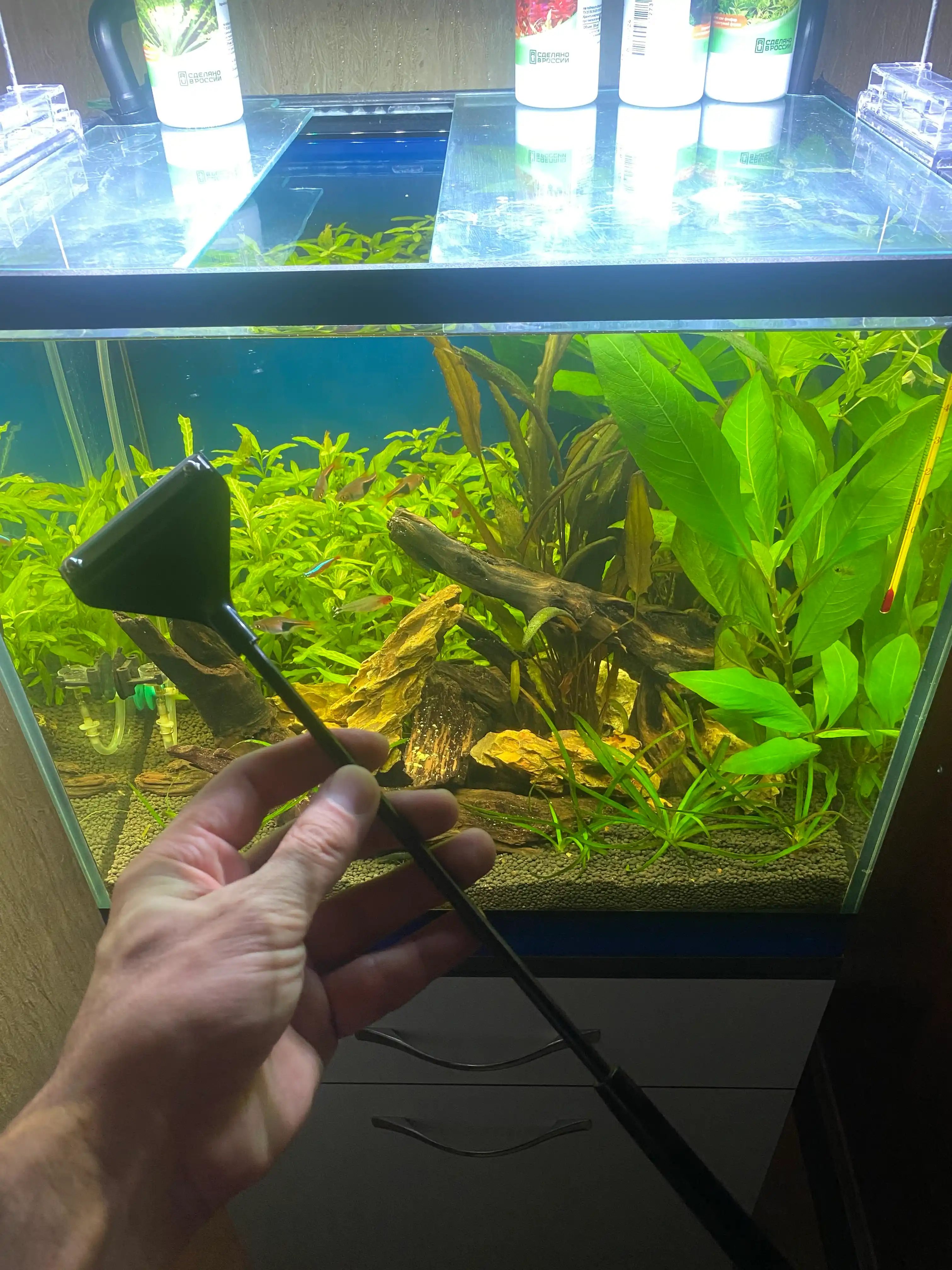 Qirg'ich akvarium uchun, 42 sm / 62 sm