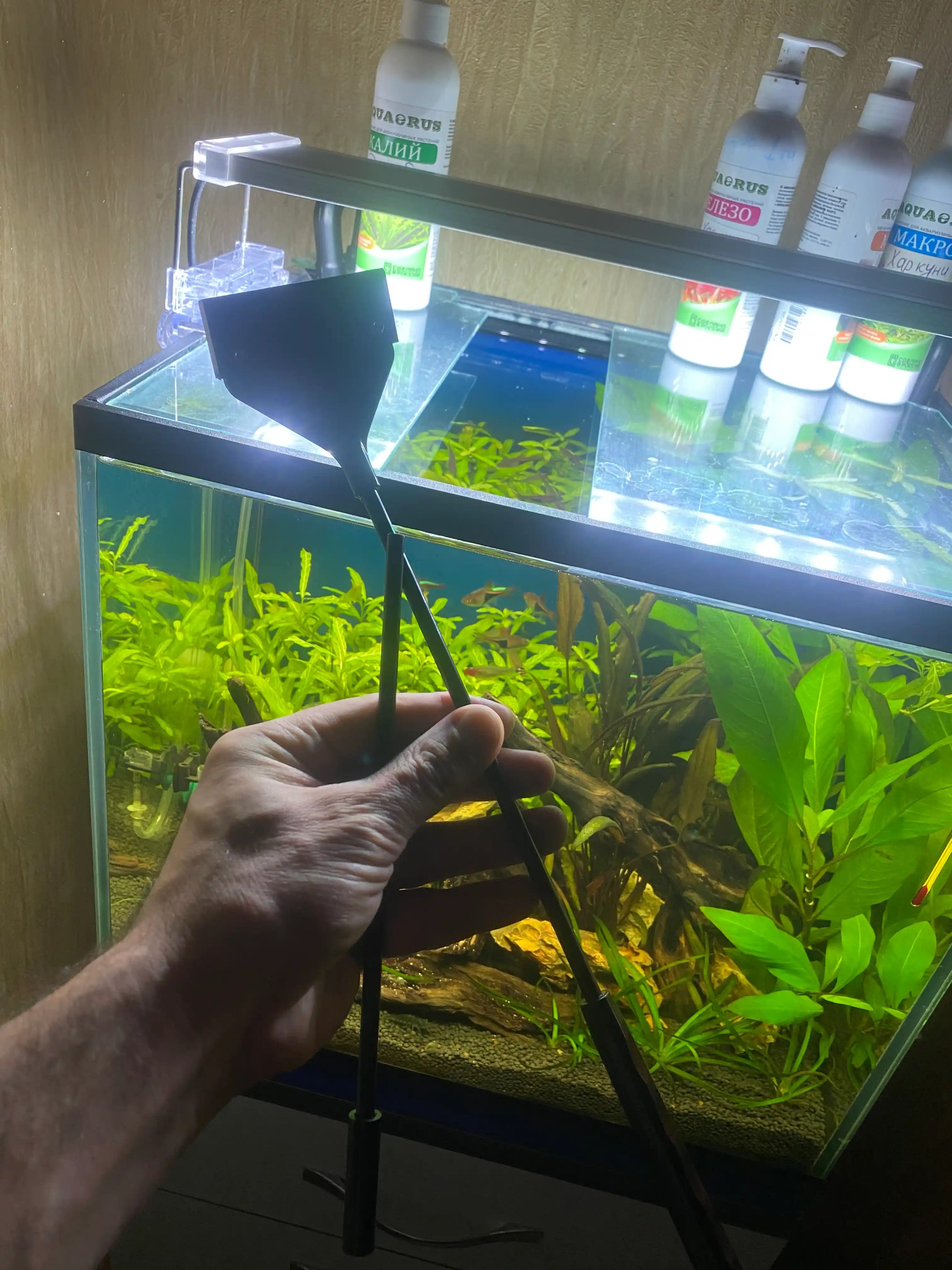 Qirg'ich akvarium uchun, 42 sm / 62 sm