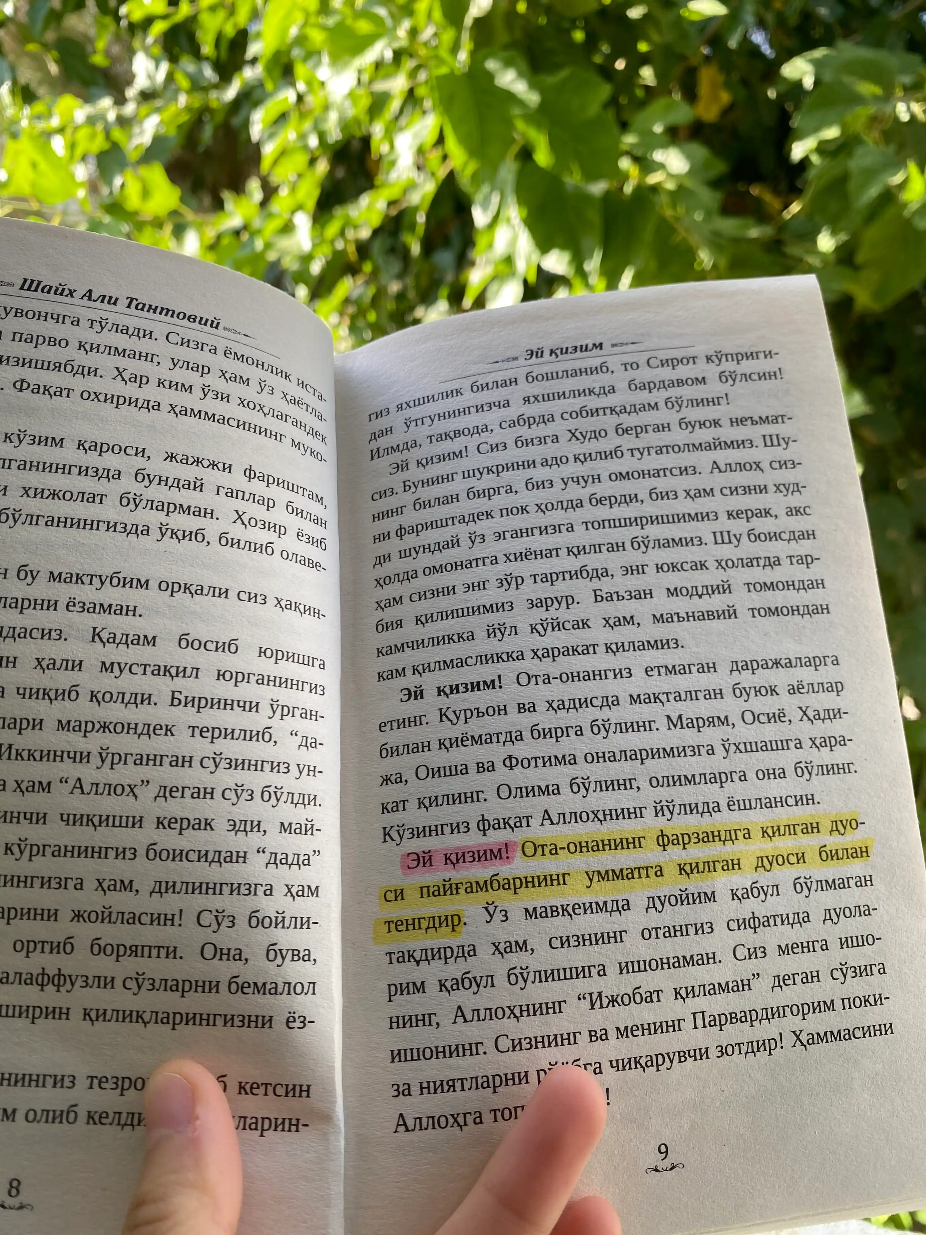 Эй қизим, Шайх Али Тантовий