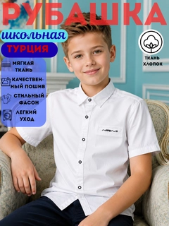 Салатовый