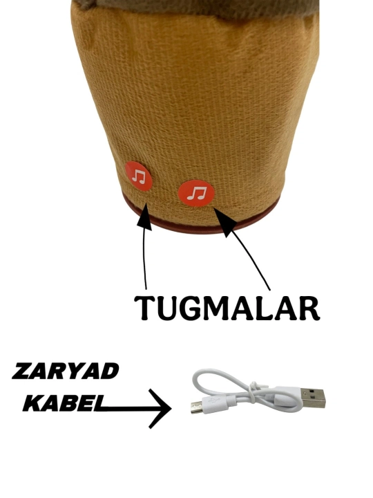 Танцующий весёлый Кактус