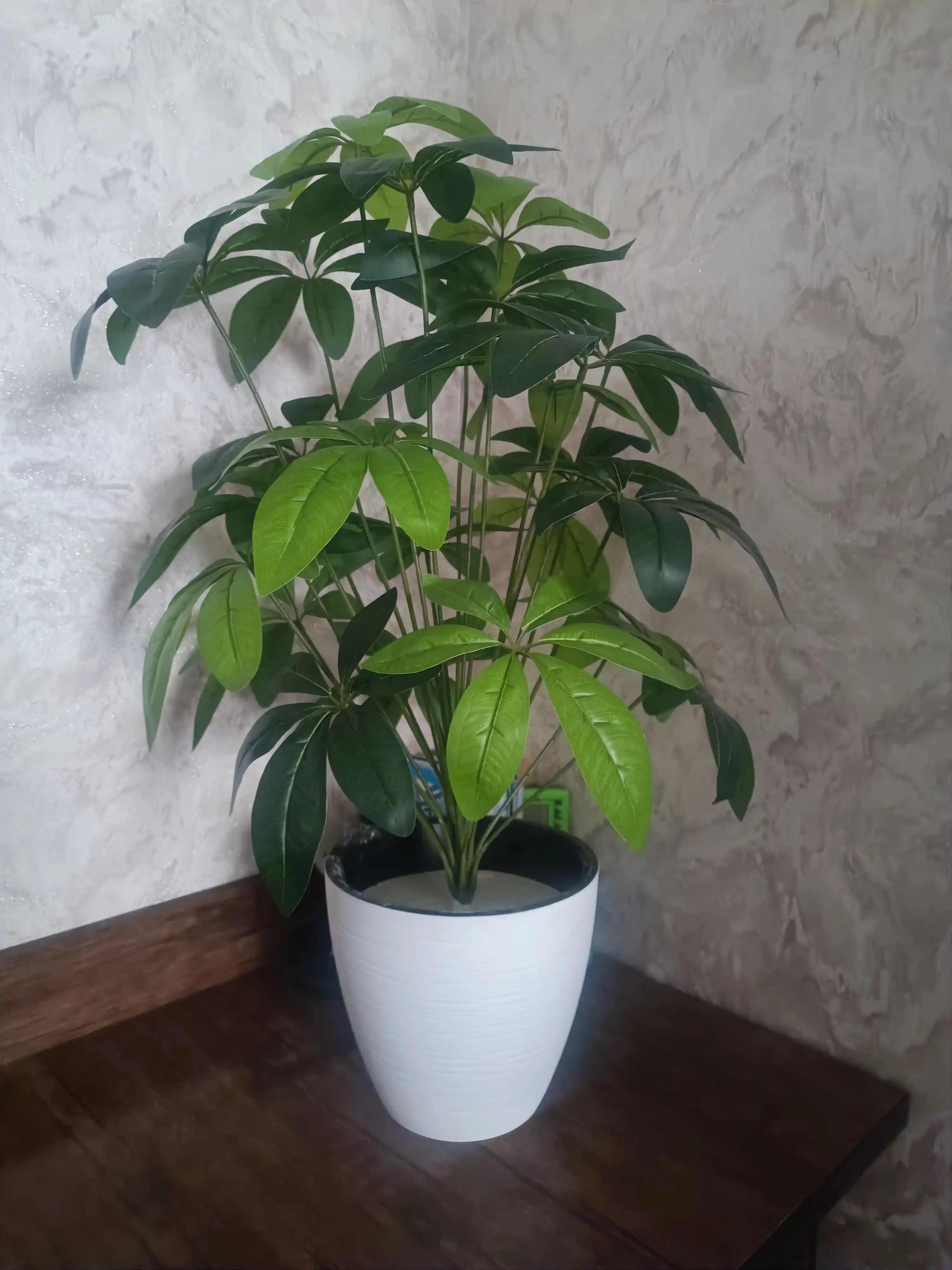Цветочный горшок, Горшок для растений (кашпо)