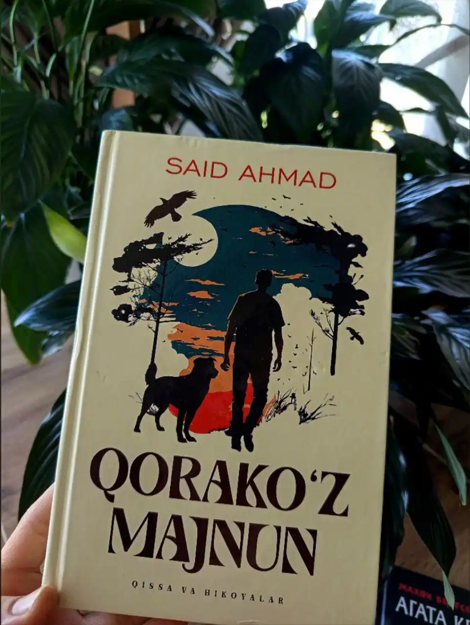 Said Ahmad - Qorako‘z majnun (hikoyalar)