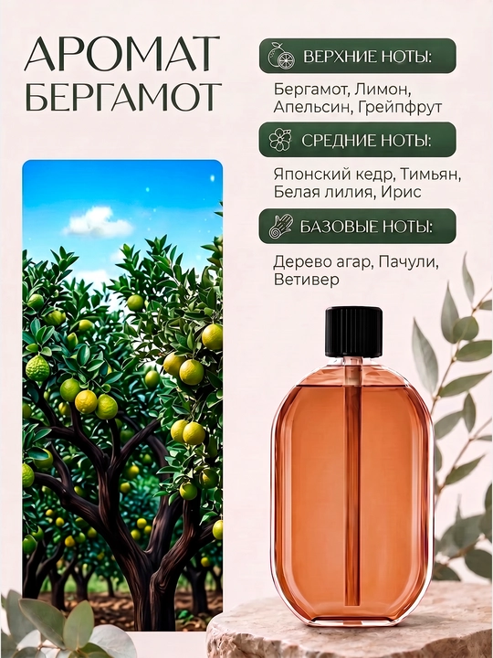 Avtomatik havo tozalagich, 1 ta shisha sovg‘a, alohida hidlar, NS-08 - 