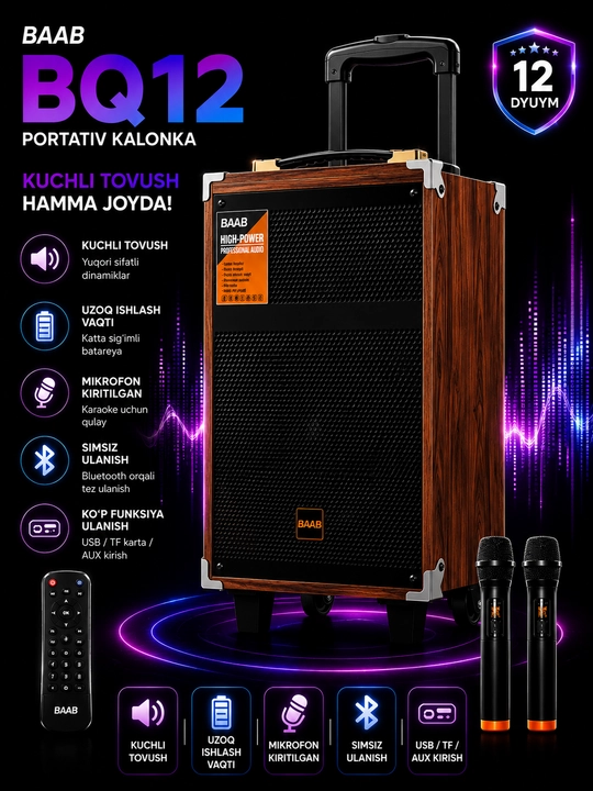 Портативная караоке-колонка BQ12 SANG Voyager Pro - 