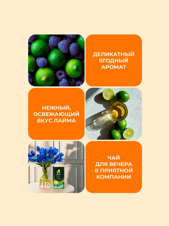 Ko‘k choy paketchali Curtis "Sweet Fusion" laym, ko‘k malina va yalpiz bilan, 25 paket