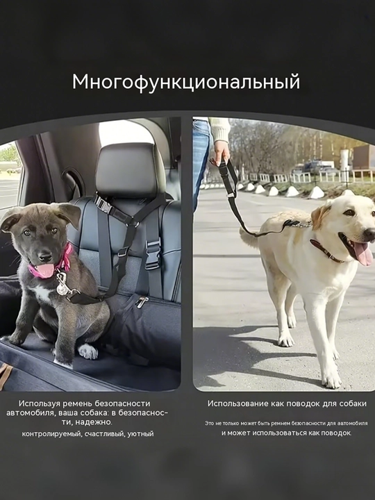 Uy hayvonlari uchun avtomobil xavfsizlik kamari, bosh yostiqchasi uchun sozlanadigan tasma