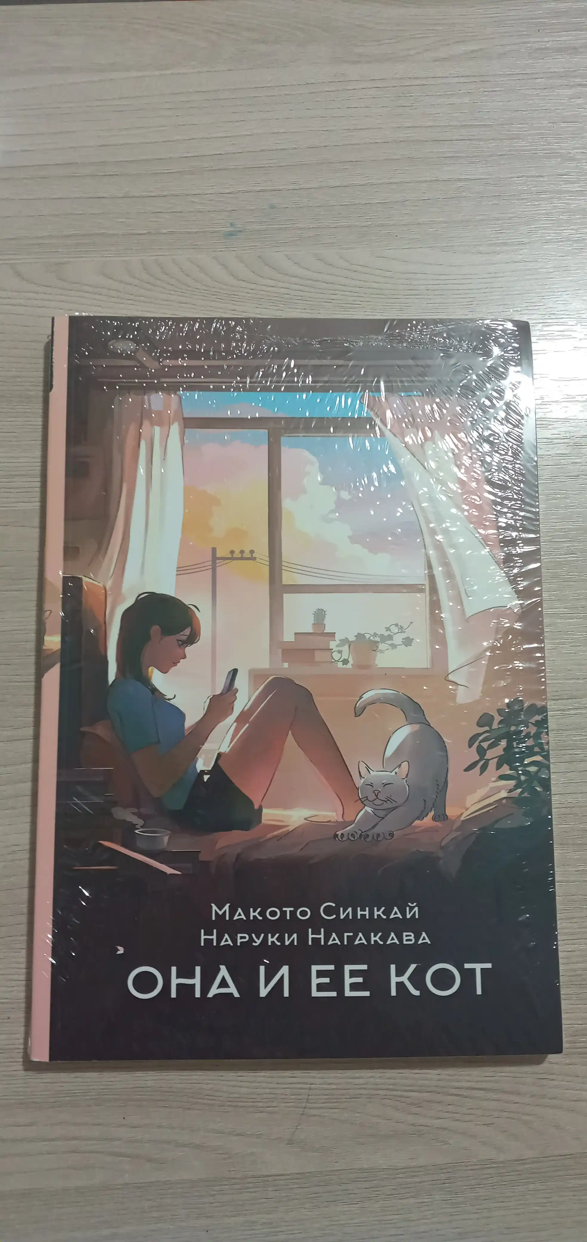 U va uning mushugi Sinkay Makoto
