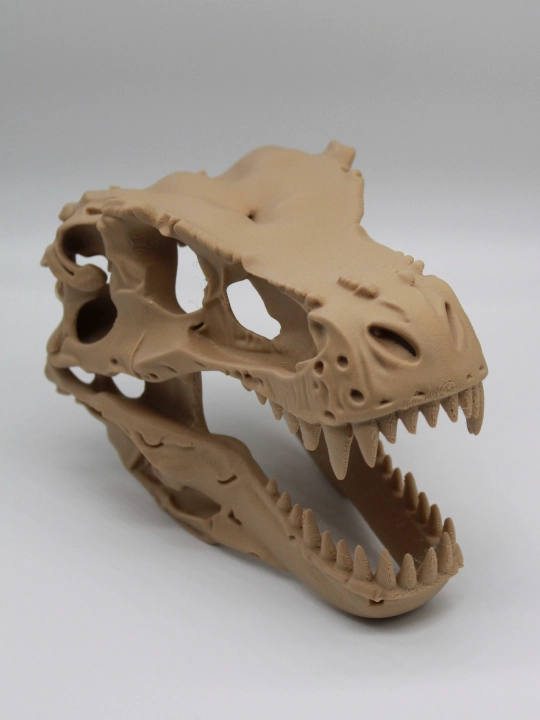 Dinozavr T-Rex bosh suyak maketi / Interyer va ish stoli uchun 3D-dekorafigurasiya