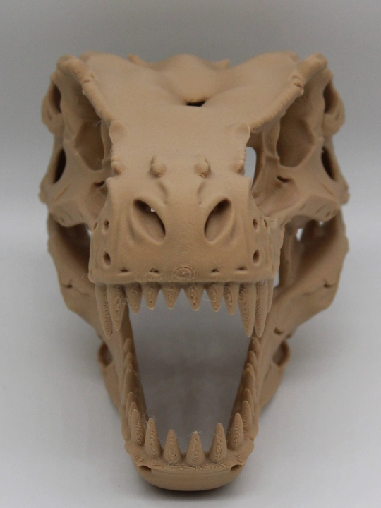 Dinozavr T-Rex bosh suyak maketi / Interyer va ish stoli uchun 3D-dekorafigurasiya