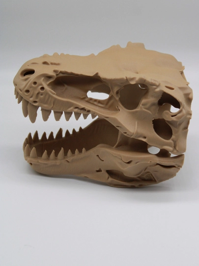 Dinozavr T-Rex bosh suyak maketi / Interyer va ish stoli uchun 3D-dekorafigurasiya