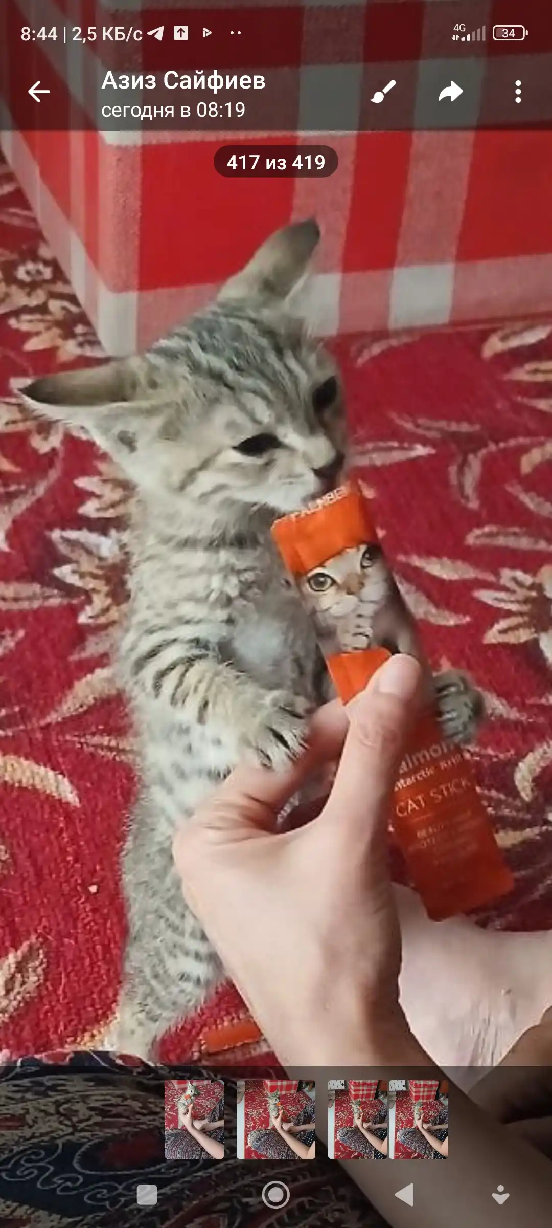 Лакомство для кошек Faenbei "Pet Snaks", ассорти из 3 вкусов