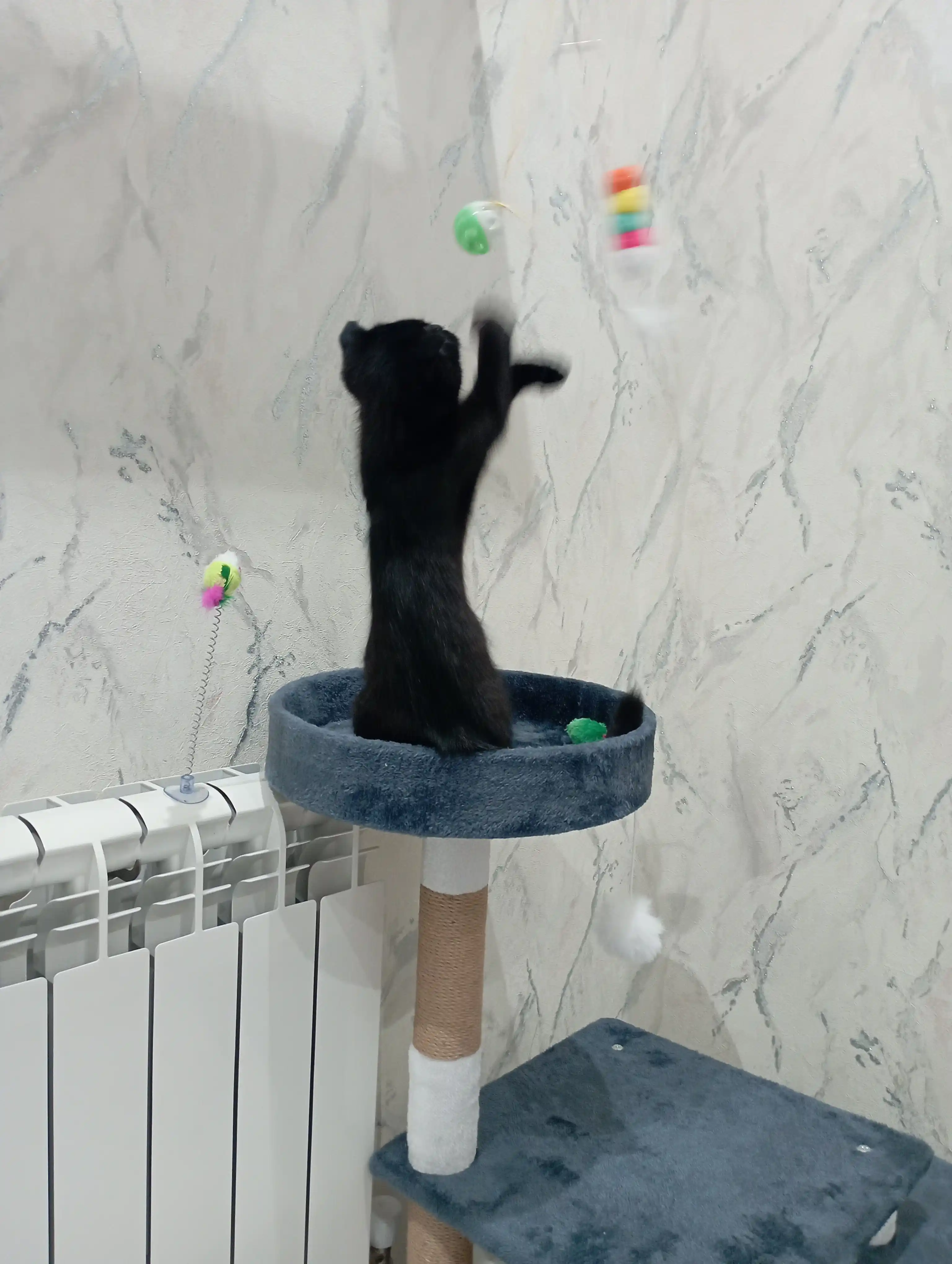Игровой комплекс, для кошек, с когтеточкой, лежанка, домик для кошек