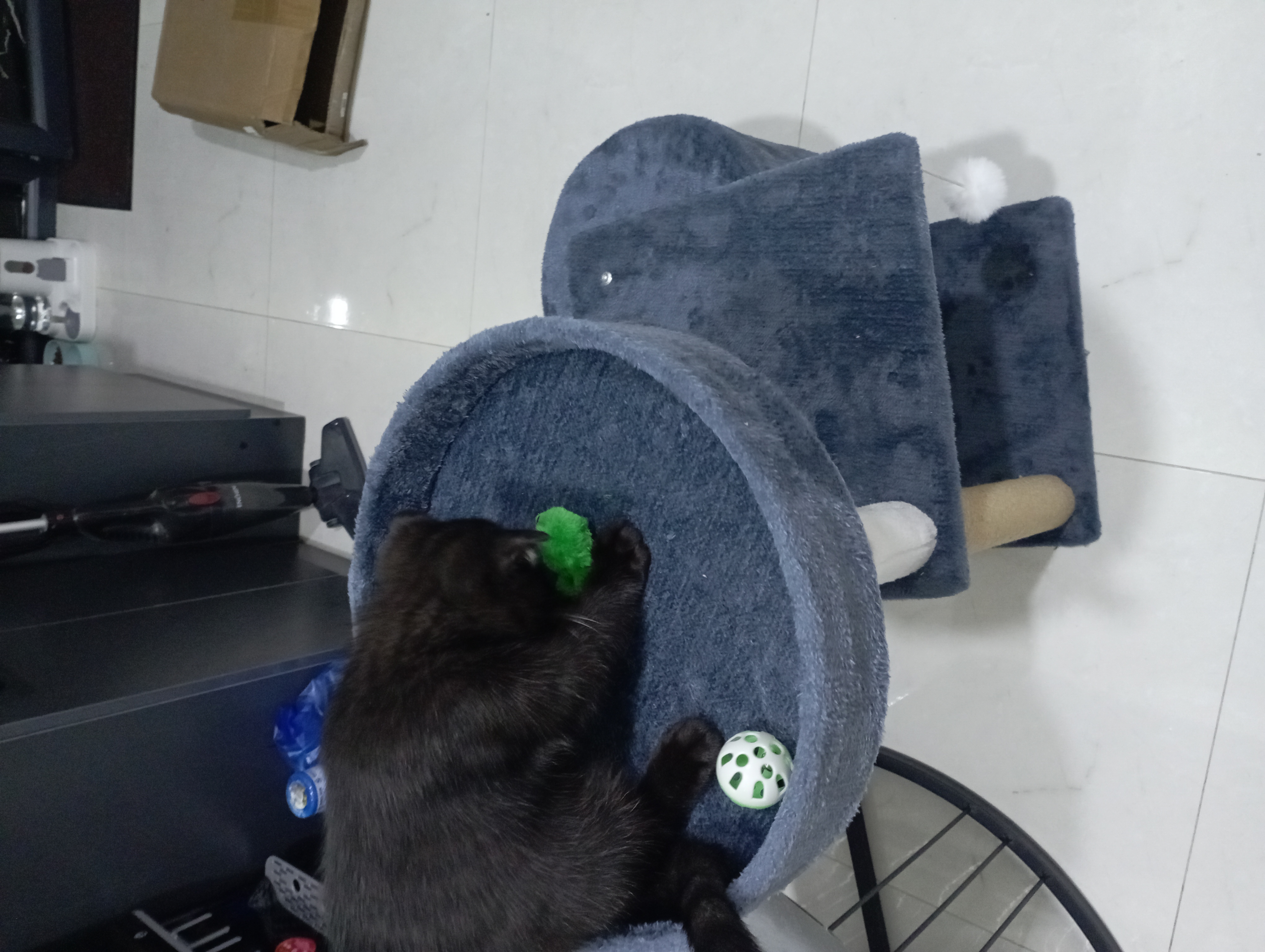 Игровой комплекс, для кошек, с когтеточкой, лежанка, домик для кошек