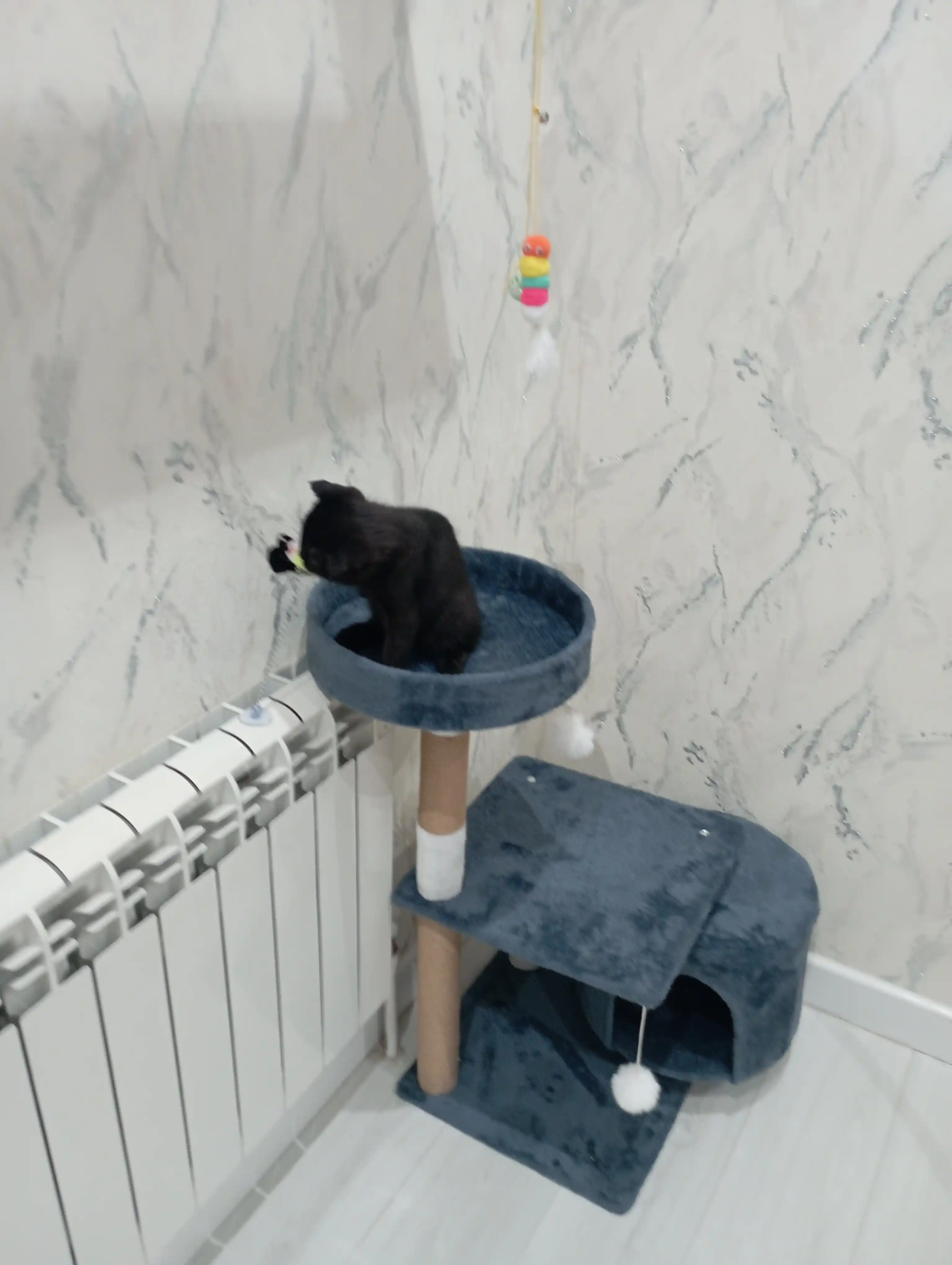 Игровой комплекс, для кошек, с когтеточкой, лежанка, домик для кошек