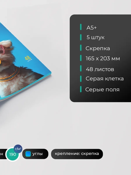 Daftarlar to‘plami A5, 48 varaq, 5 dona, katakli, maktab va talabalar uchun Rossiya
